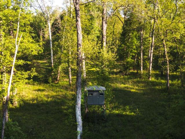 Land for sale in Virginia
