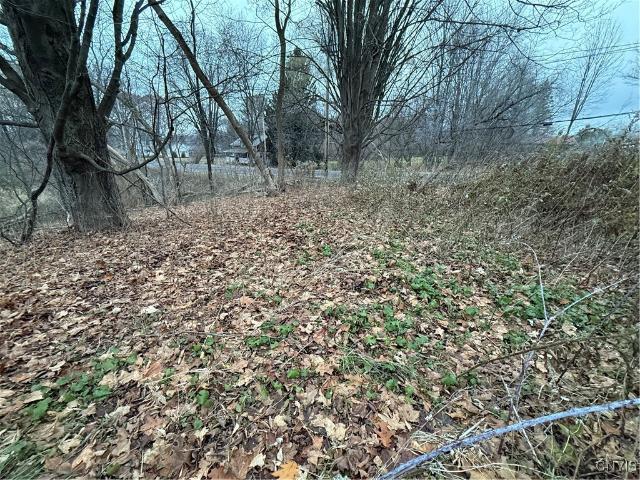 Land for sale in Mannsville, New York