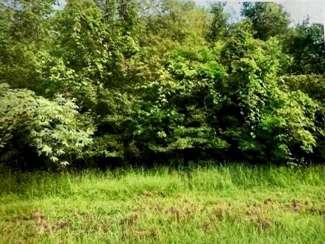 Property for sale in Sweeny, Texas