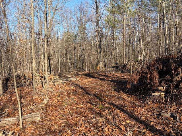 Land for sale in Tennessee