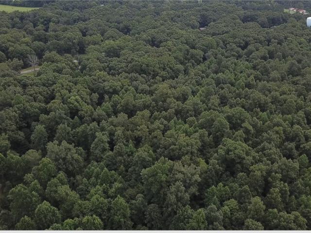 Land for sale in Bon Aqua Junction, Middle Tennessee
