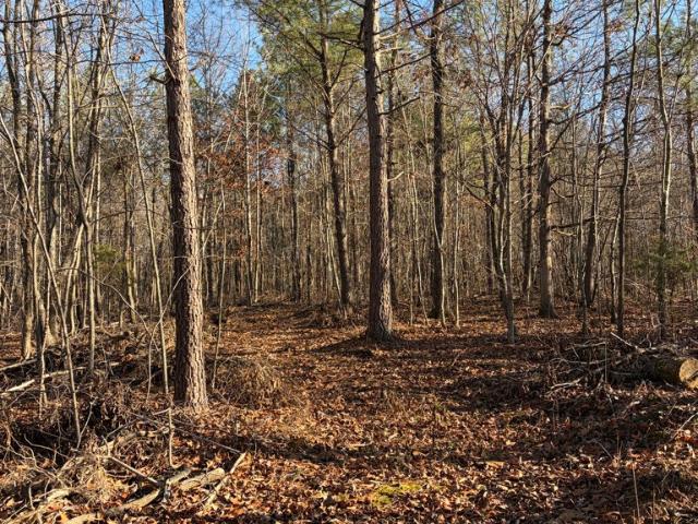 Land for sale in Tennessee