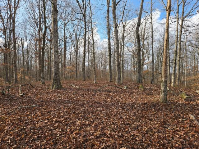 Land for sale in Tennessee