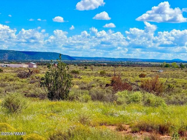 Land for sale in Navajo, Arizona