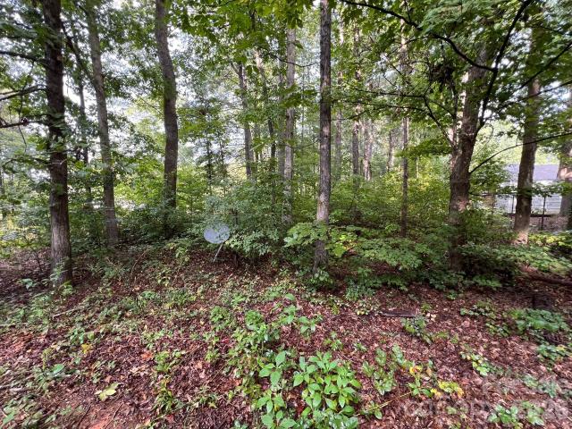 Land for sale in Morganton, Burke County