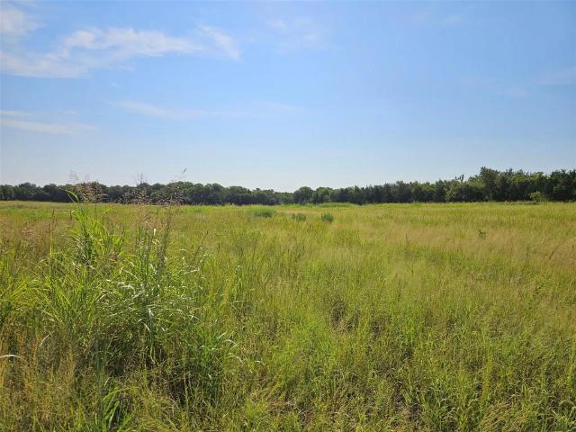 Land for sale in Lamar, Texas
