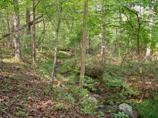 Land for sale in Amherst, Amherst County
