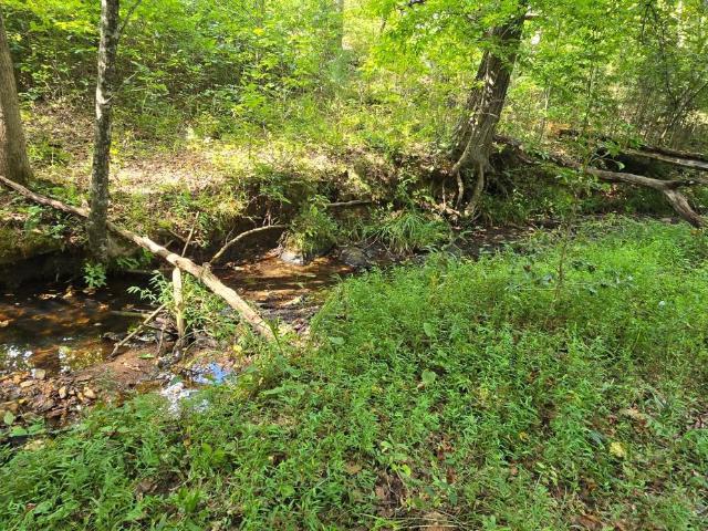 Land for sale in Amherst, Amherst County