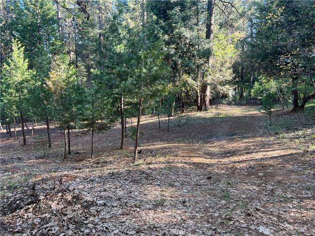 Land for sale in Butte County, California