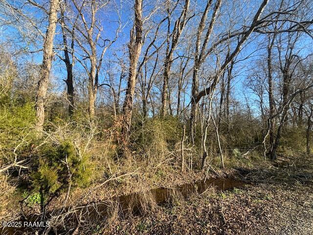 Land for sale in Washington, Louisiana