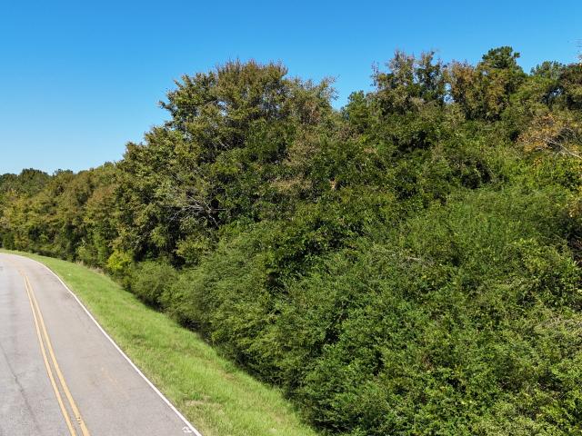 Land for sale in Beverly, Elberton