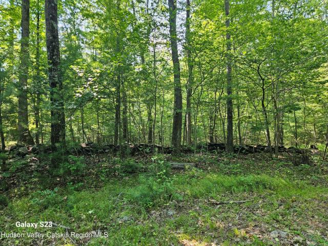 Land for sale in Catskill, New York