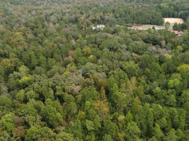 Land for sale in Ark