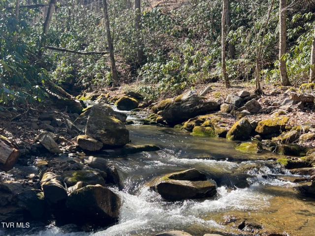 Land for sale in Tennessee