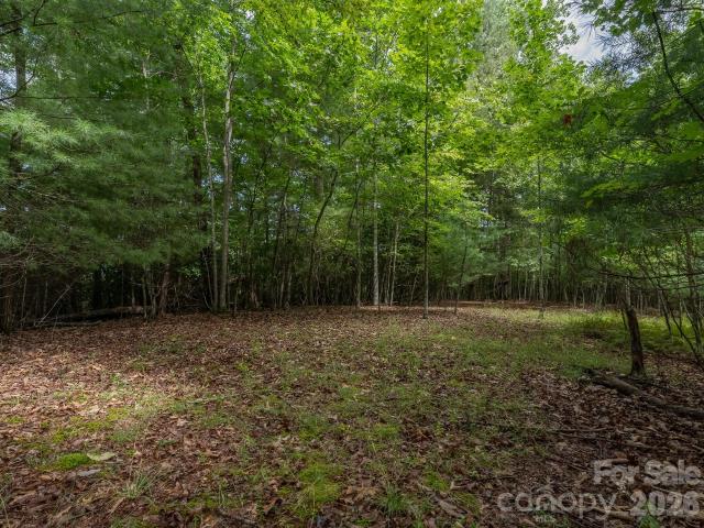 Land for sale in Hendersonville, North Carolina