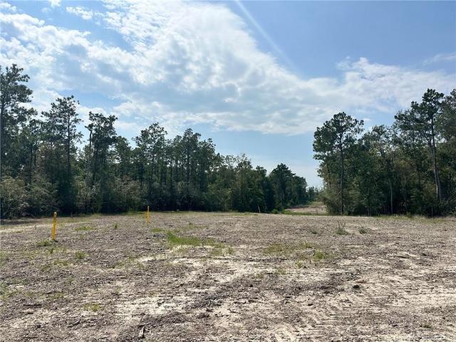 Land for sale in Iowa, Louisiana