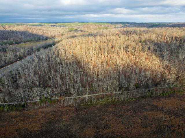 Land for sale in Tennessee