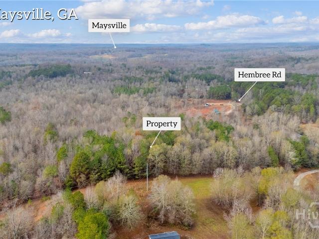 Land for sale in Banks, Georgia
