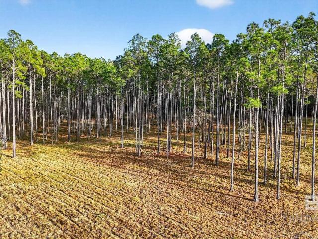 Land for sale in Bayou La Batre, Alabama