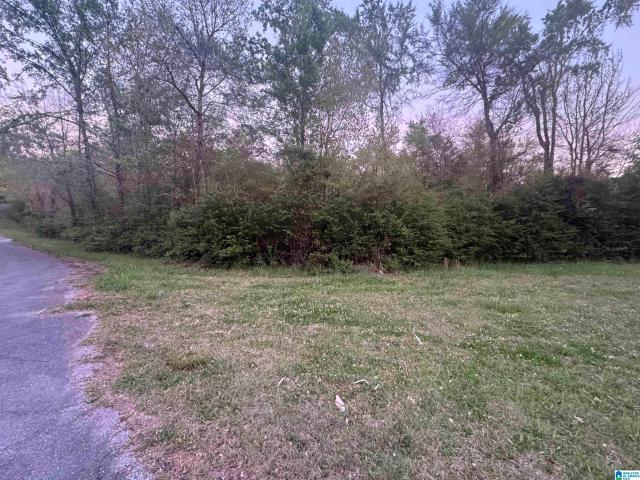 Land for sale in Jacksonville, Alabama
