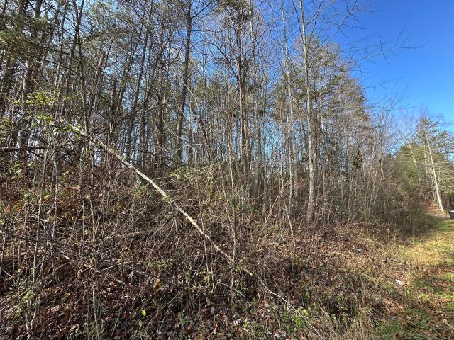 Land for sale in Williamsburg, Kentucky