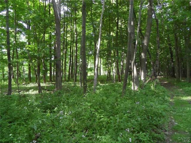 Land for sale in Oneida, New York
