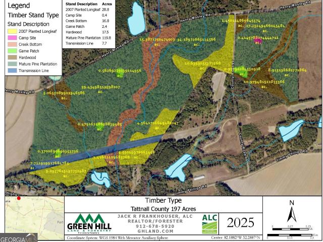 Land for sale in Cobbtown, Georgia