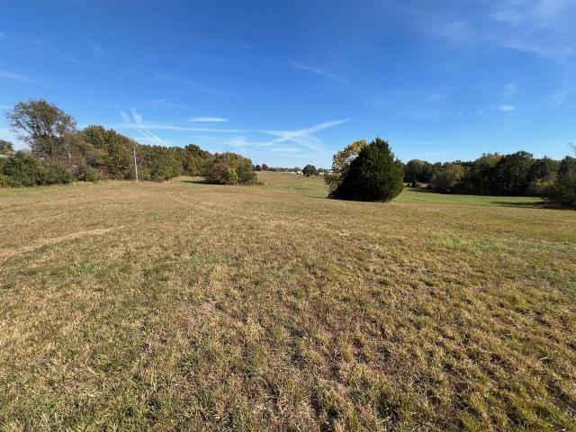 Land for sale in Bowling Green, Simpson County
