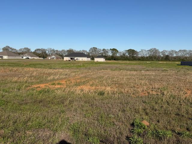 Land for sale in Headland, Alabama