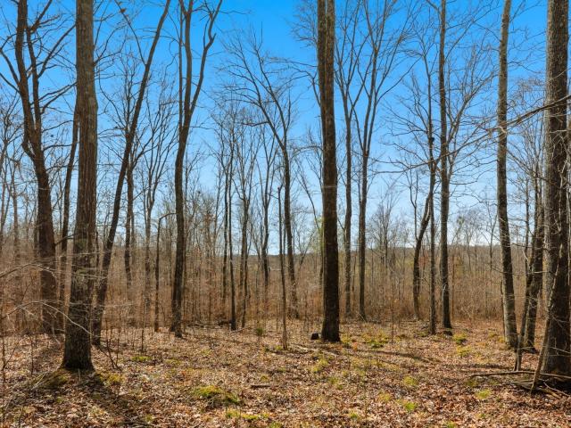 Farm for sale in Tennessee