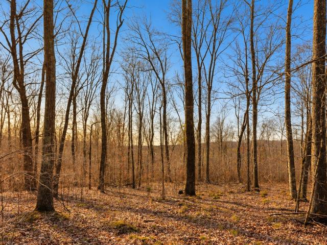 Farm for sale in Cumberland City, Middle Tennessee