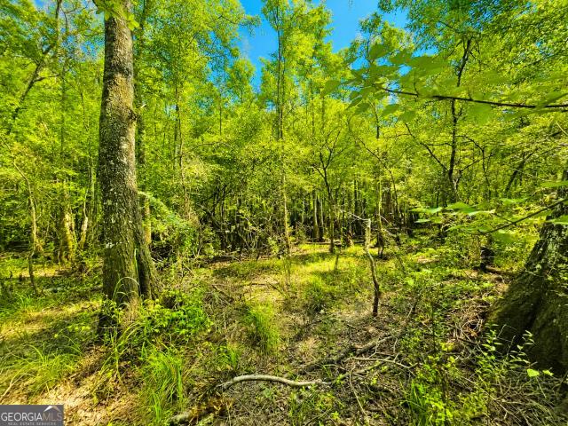 Land for sale in Nahunta, Georgia