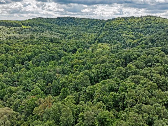 Farm for sale in Nashville, Grant Township