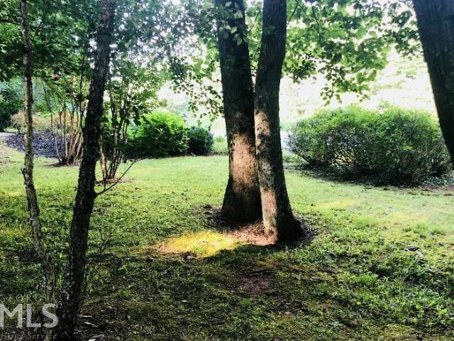 Land for sale in Hiawassee, Georgia