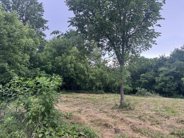 Land for sale in Tennessee