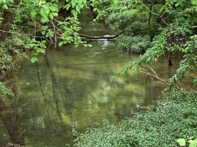Land for sale in Tennessee