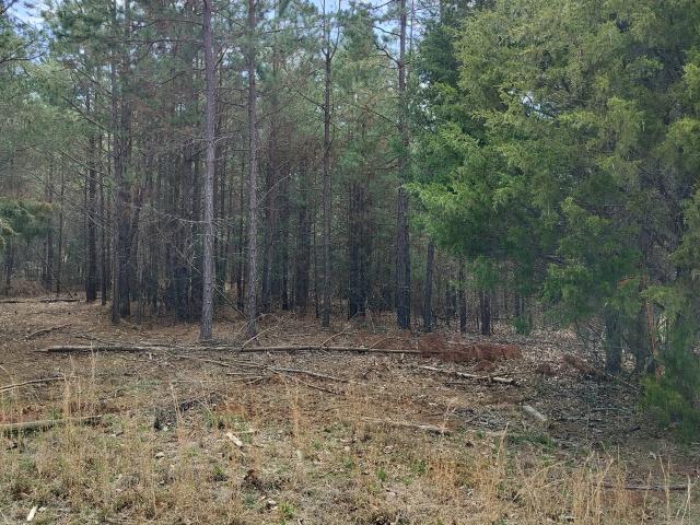 Land for sale in Eastanollee, Georgia