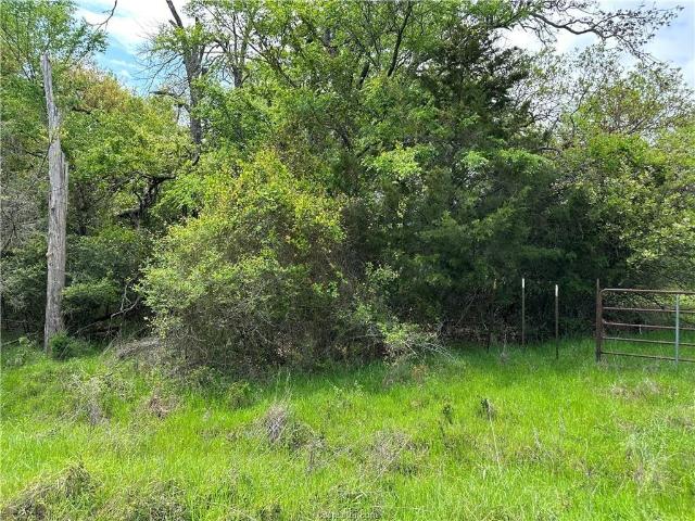 Land for sale in Limestone, Texas
