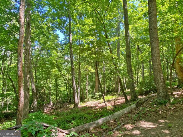 Land for sale in Dahlonega, Georgia
