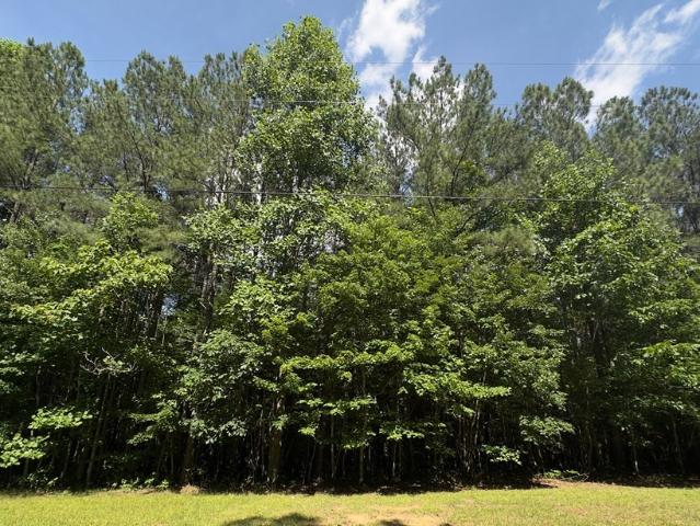 Land for sale in Tennessee