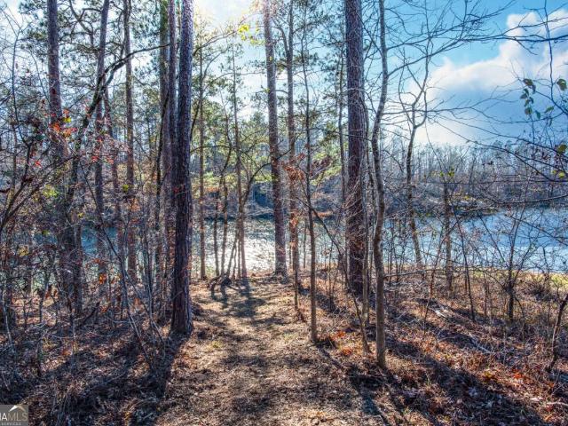 Land for sale in Sparta, Georgia