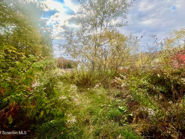 Land for sale in Archbald, Pennsylvania