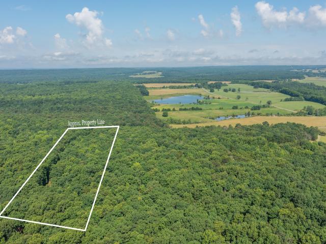 Land for sale in Menlo, Georgia