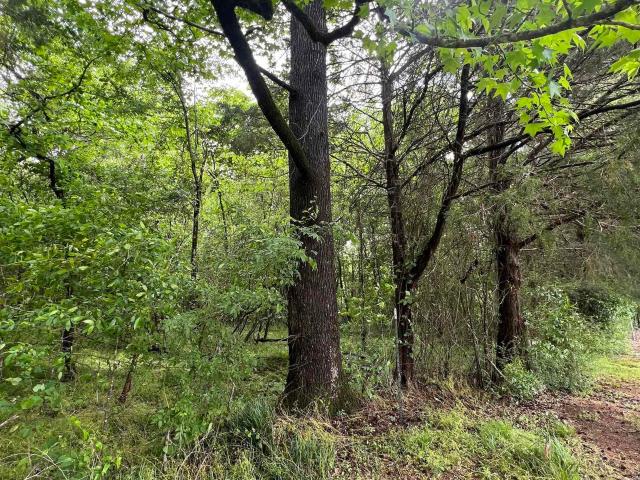 Land for sale in Montevallo, Alabama