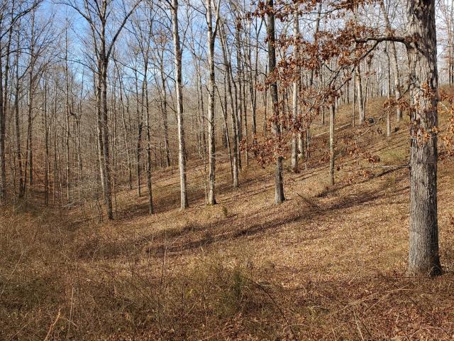 Land for sale in Tennessee