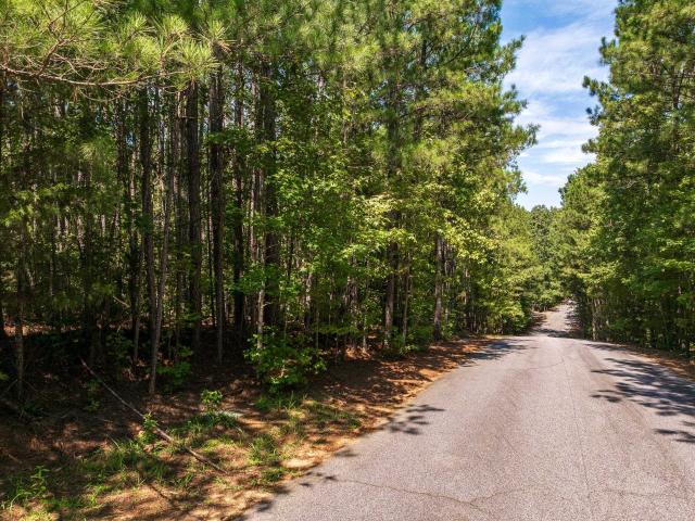 Land for sale in Cross Hill, South Carolina