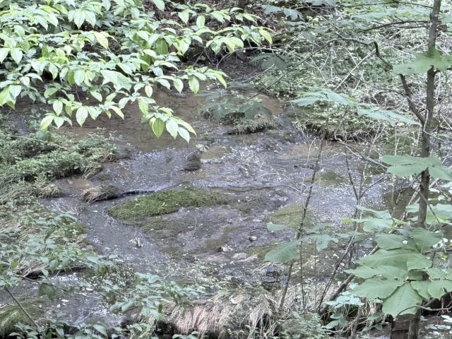 Land for sale in Tennessee