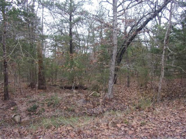 Land for sale in Ben Wheeler, Texas