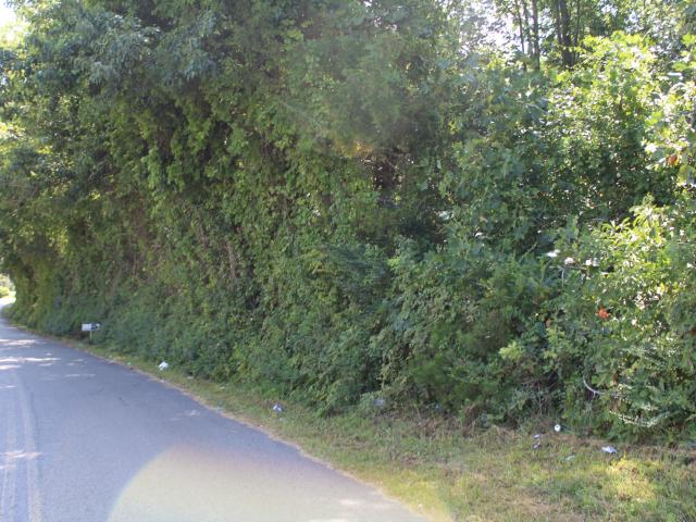 Land for sale in Tennessee