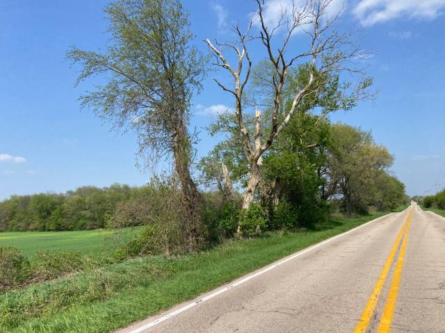 Land for sale in Hampshire, Illinois